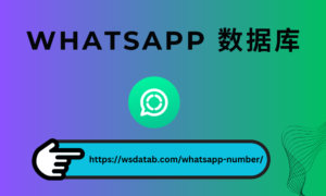 WhatsApp 号码 